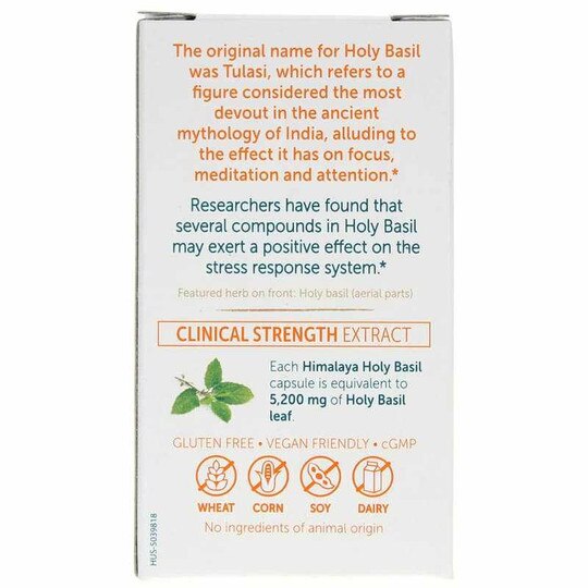 Holy Basil, HM